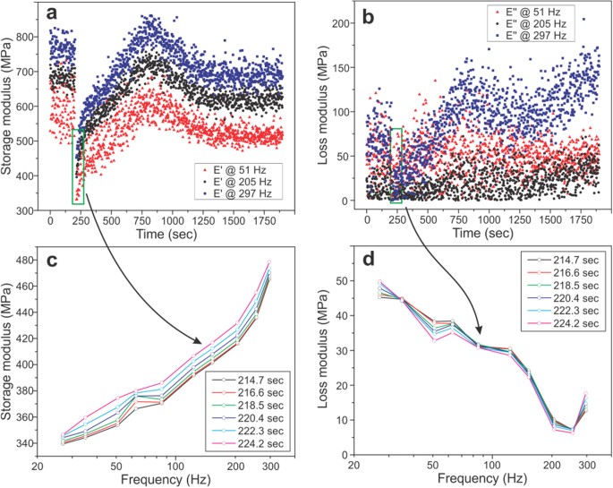 High-resolution high-speed dynamic mechanical spectroscopy of cells and  other soft materials with the help of atomic force microscopy | Scientific  Reports