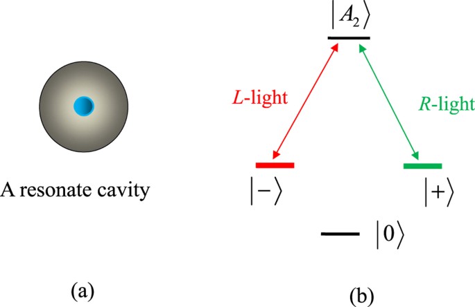 Hybrid Quantum Gates Between Flying Photon And Diamond Nitrogen Vacancy Centers Assisted By Optical Microcavities Scientific Reports
