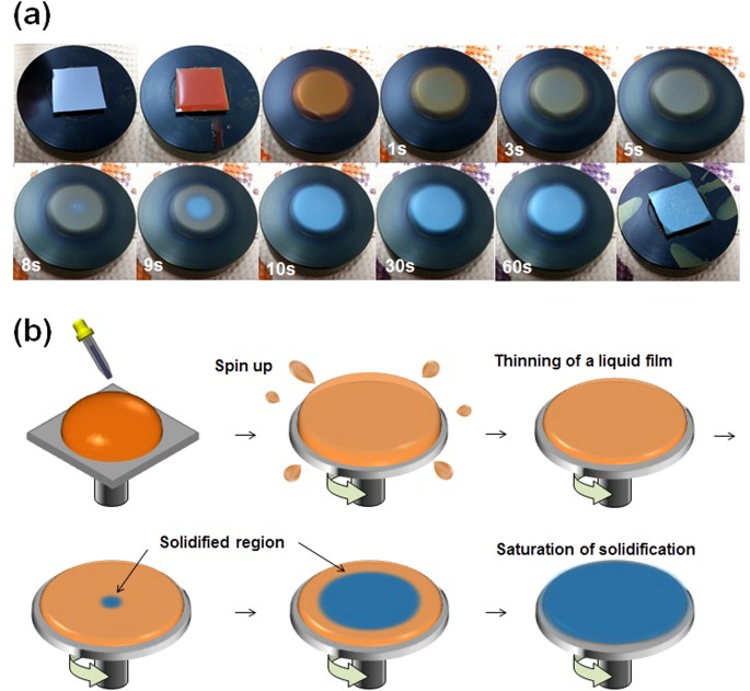 Understanding Solidification of Polythiophene Thin Films during Spin-Coating: Effects of Spin-Coating Time and Processing Additives | Scientific Reports Understanding Solidification of Polythiophene Thin Films during Spin-Coating: Effects of Spin-Coating Time and Processing Additives | Scientific Reports