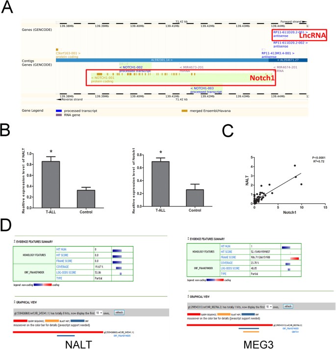 LncRNA NALT interaction with NOTCH1 promoted cell proliferation ...