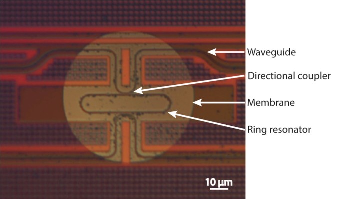 A sensitive optical micro-machined ultrasound sensor (OMUS) based on a  silicon photonic ring resonator on an acoustical membrane | Scientific  Reports