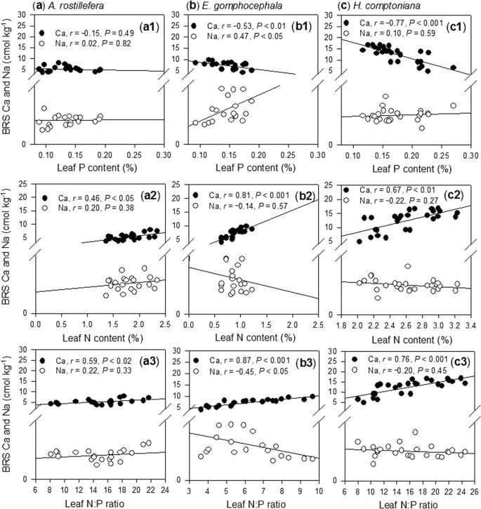 Shifts In Leaf N P Stoichiometry During Rehabilitation In Highly Alkaline Bauxite Processing Residue Sand Scientific Reports