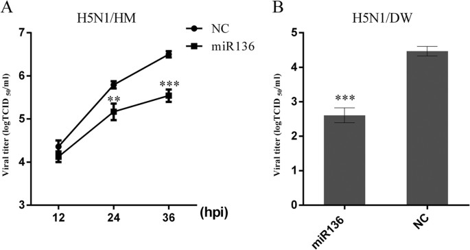 Identification Of Cellular Microrna 136 As A Dual Regulator Of Rig I Mediated Innate Immunity That Antagonizes H5n1 Iav Replication In A549 Cells Scientific Reports