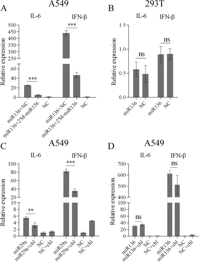 Identification Of Cellular Microrna 136 As A Dual Regulator Of Rig I Mediated Innate Immunity That Antagonizes H5n1 Iav Replication In A549 Cells Scientific Reports
