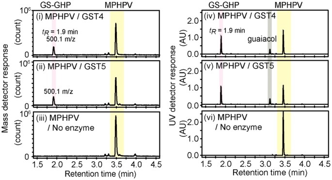 Combination Of Six Enzymes Of A Marine Novosphingobium Converts The Stereoisomers Of B O 4 Lignin Model Dimers Into The Respective Monomers Scientific Reports