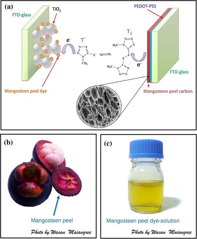 A Dye Sensitized Solar Cell Using Natural Counter Electrode And Natural Dye Derived From Mangosteen Peel Waste Scientific Reports