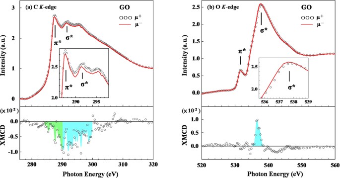 Visualizing Chemical States And Defects Induced Magnetism Of Graphene Oxide By Spatially Resolved X Ray Microscopy And Spectroscopy Scientific Reports