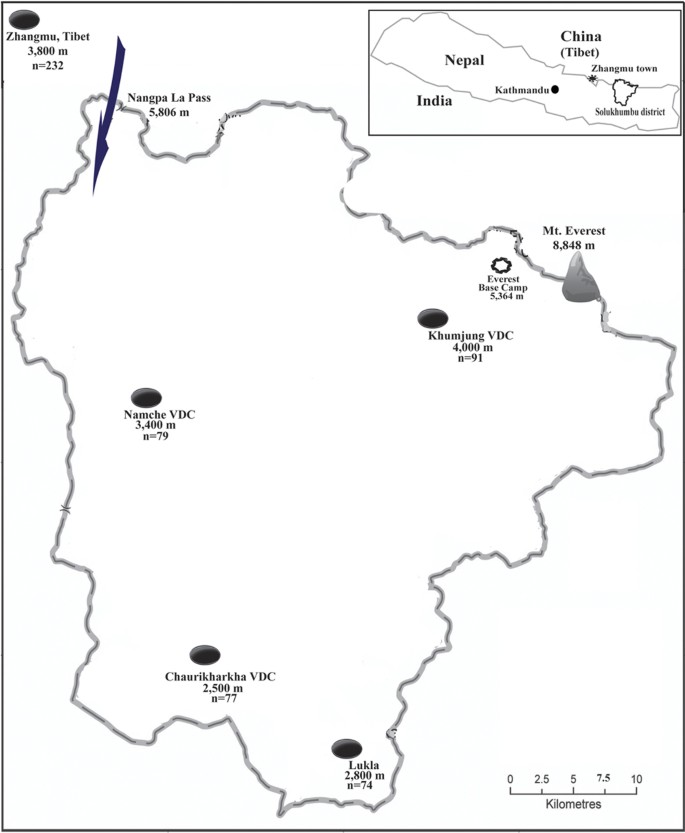 Genetic evidence of a recent Tibetan ancestry to Sherpas in the