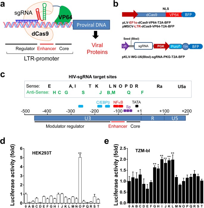 Super Interessante #453 - Jul23, PDF, CRISPR