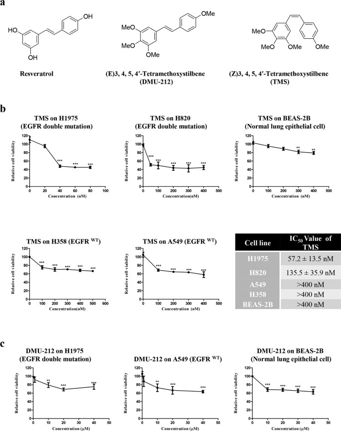 Z 3 4 5 4 Trans Tetramethoxystilbene A New Analogue Of Resveratrol Inhibits Gefitinb Resistant Non Small Cell Lung Cancer Via Selectively Elevating Intracellular Calcium Level Scientific Reports
