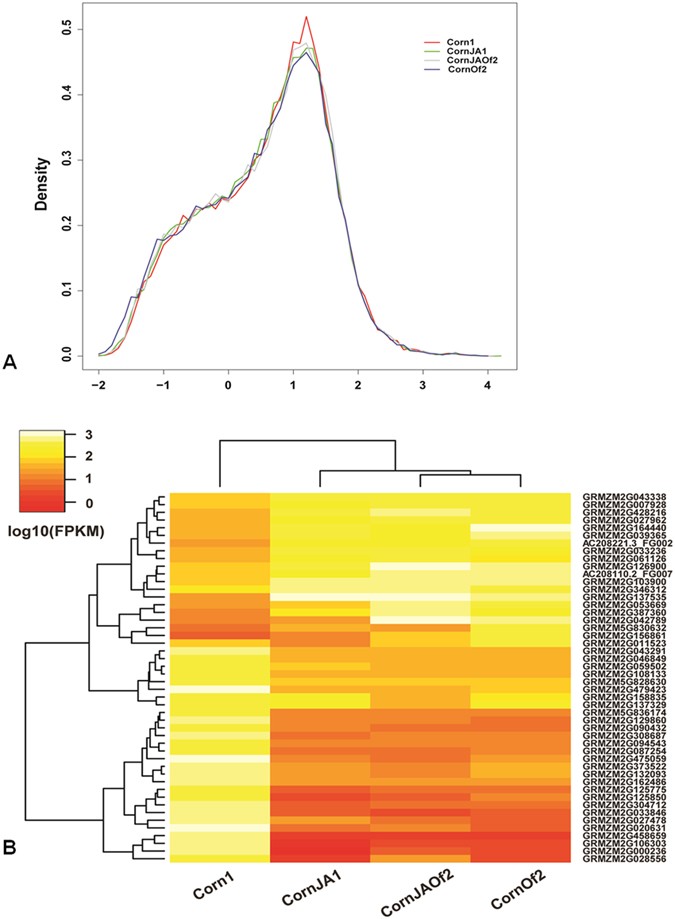 Analysis Of Key Genes Of Jasmonic Acid Mediated Signal Pathway For Defense Against Insect Damages By Comparative Transcriptome Sequencing Scientific Reports
