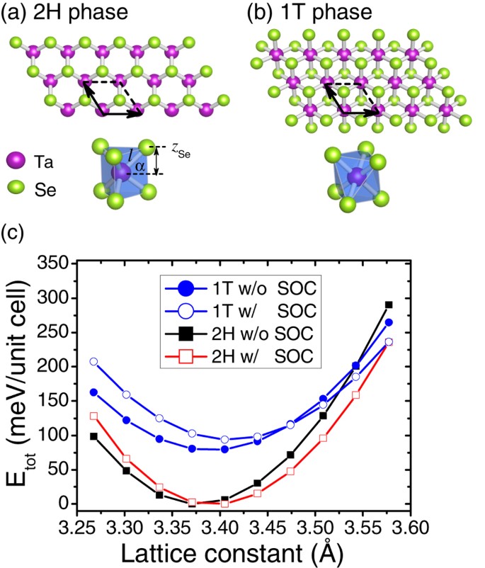 Structural Electronic And Vibrational Properties Of Few Layer 2h And 1t Tase 2 Scientific Reports Structural Electronic And Vibrational Properties Of Few Layer 2h And 1t Tase 2 Scientific Reports