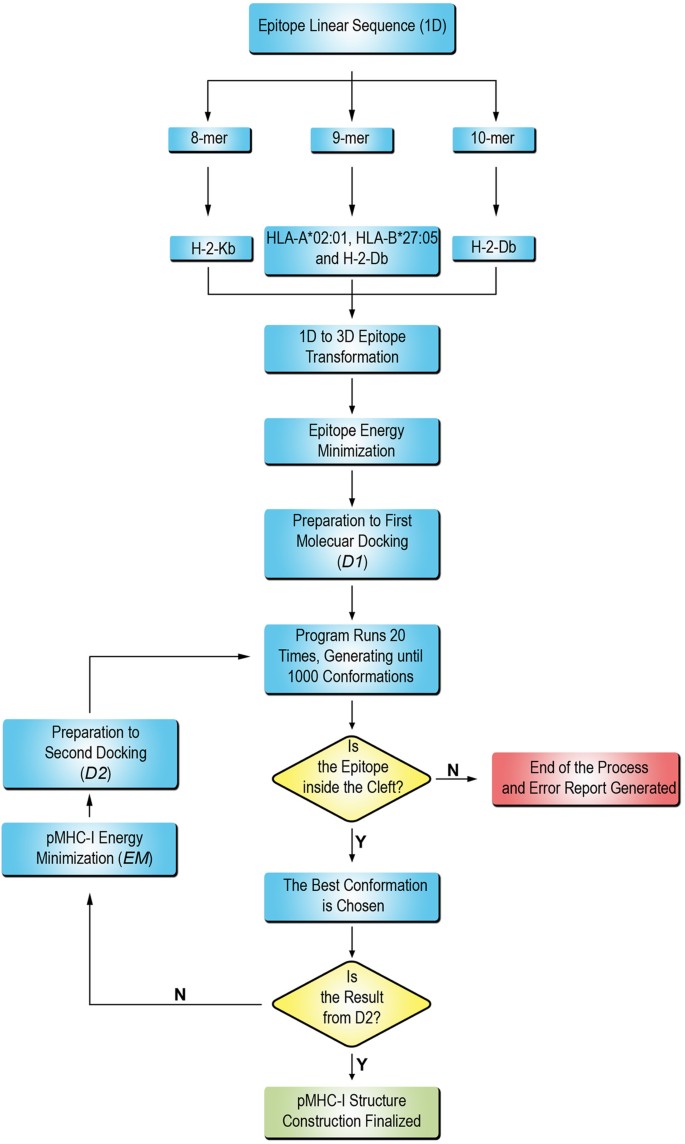 Docktope A Web Based Tool For Automated Pmhc I Modelling Scientific Reports