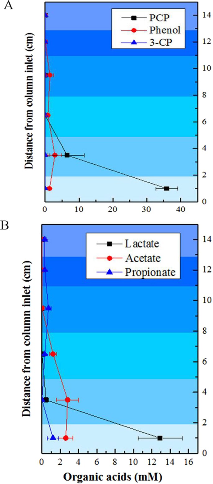 Spatial Abundance And Distribution Of Potential Microbes And Functional Genes Associated With Anaerobic Mineralization Of Pentachlorophenol In A Cylindrical Reactor Scientific Reports