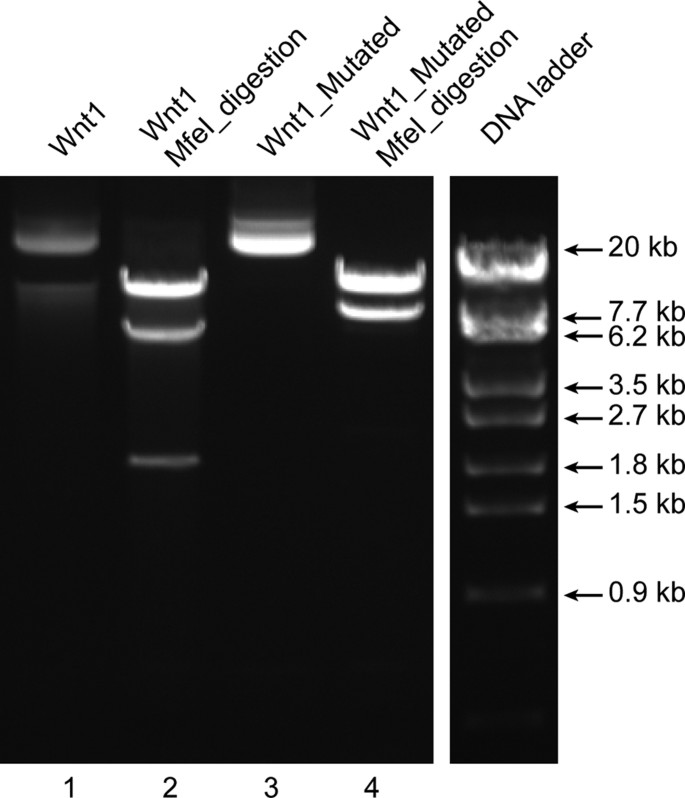 figure3