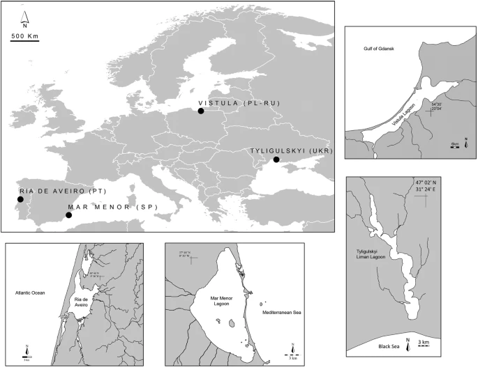 graphic_overview