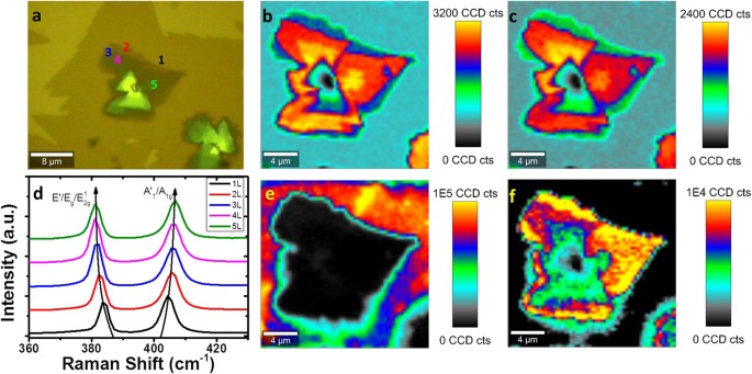 Mapping of Low-Frequency Raman Modes in CVD-Grown Transition Metal  Dichalcogenides: Layer Number, Stacking Orientation and Resonant Effects |  Scientific Reports