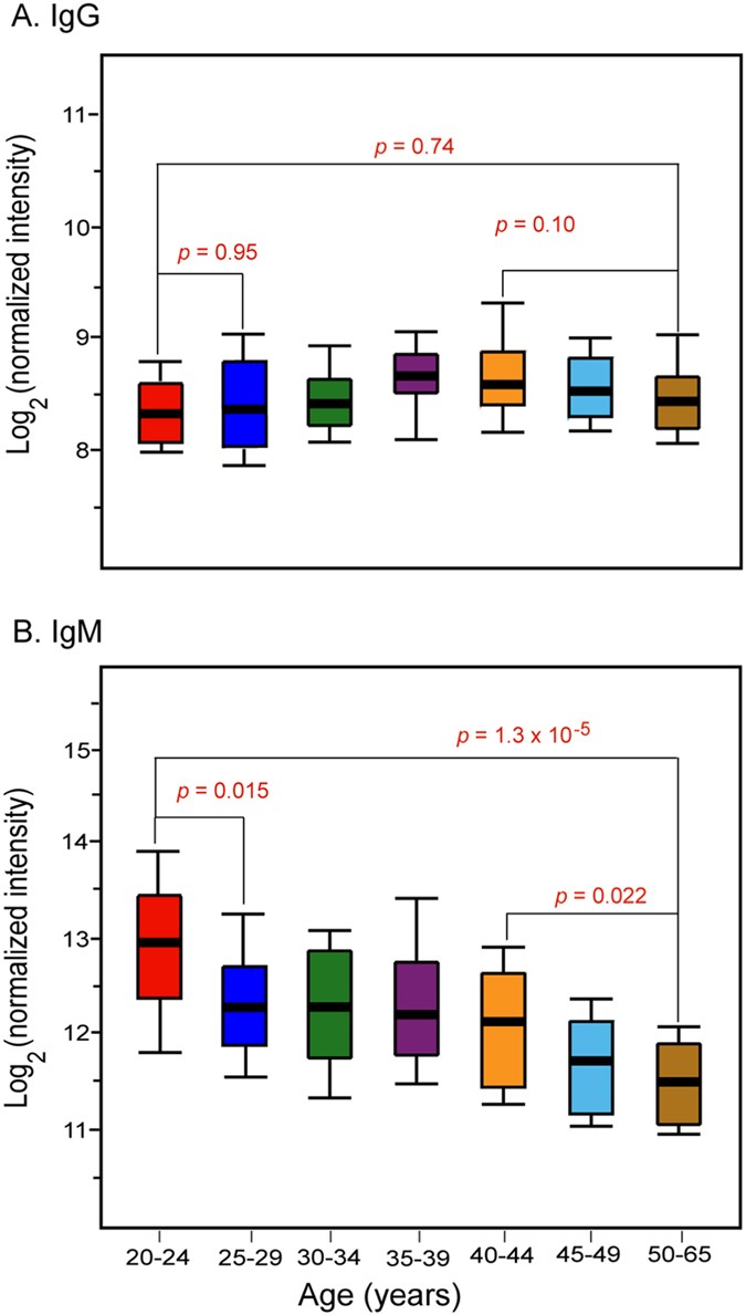 Competition between Serum IgG, IgM, and IgA Anti-Glycan Antibodies