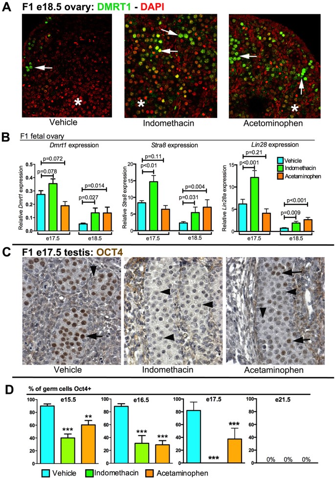 figure3