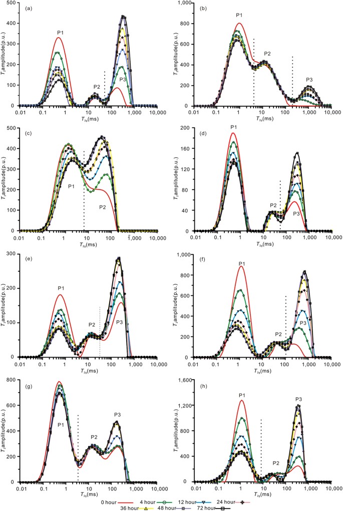 Interactions And Exchange Of Co2 And H2o In Coals An Investigation By Low Field Nmr Relaxation Scientific Reports