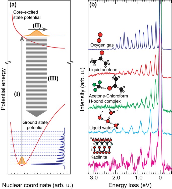 Ground state potential energy surfaces around selected atoms from resonant  inelastic x-ray scattering | Scientific Reports