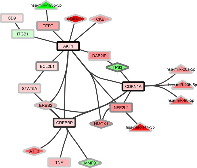 Omics for prediction of environmental health effects: Blood leukocyte-based  cross-omic profiling reliably predicts diseases associated with tobacco  smoking | Scientific Reports