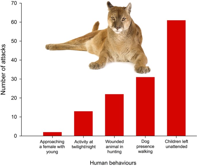cougar i porsgrunn singeltje bergen op zoom