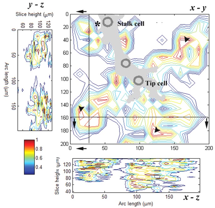 figure 10