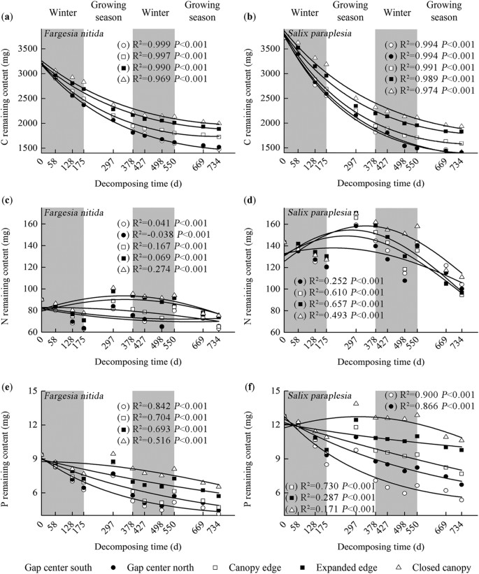 Gap Locations Influence The Release Of Carbon Nitrogen And Phosphorus In Two Shrub Foliar Litter In An Alpine Fir Forest Scientific Reports