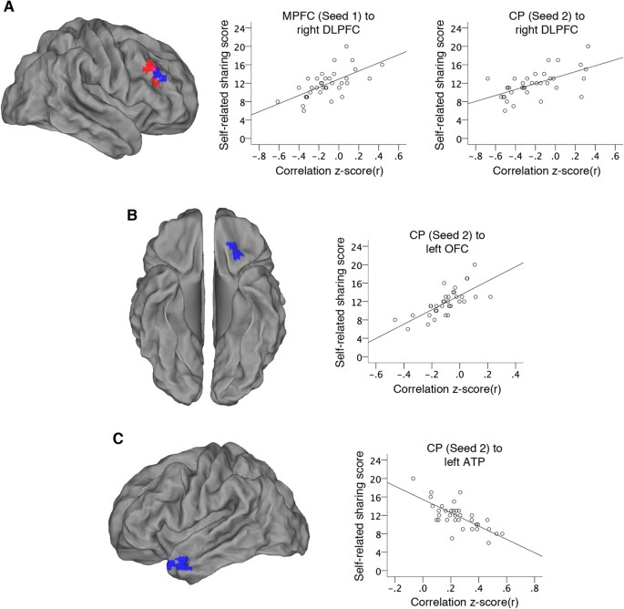 Sharing Self Related Information Is Associated With Intrinsic Functional Connectivity Of Cortical Midline Brain Regions Scientific Reports