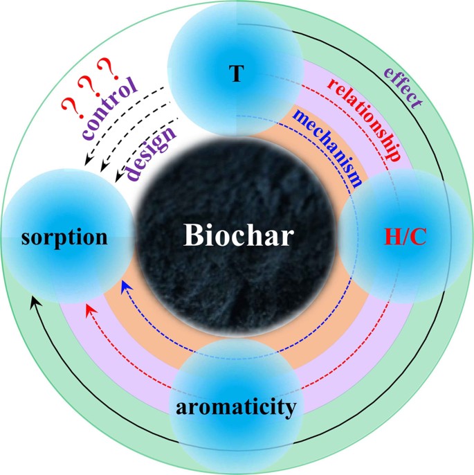 H C Atomic Ratio As A Smart Linkage Between Pyrolytic Temperatures Aromatic Clusters And Sorption Properties Of Biochars Derived From Diverse Precursory Materials Scientific Reports