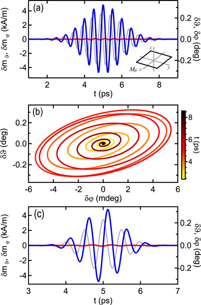 Model of THz Magnetization Dynamics | Scientific Reports