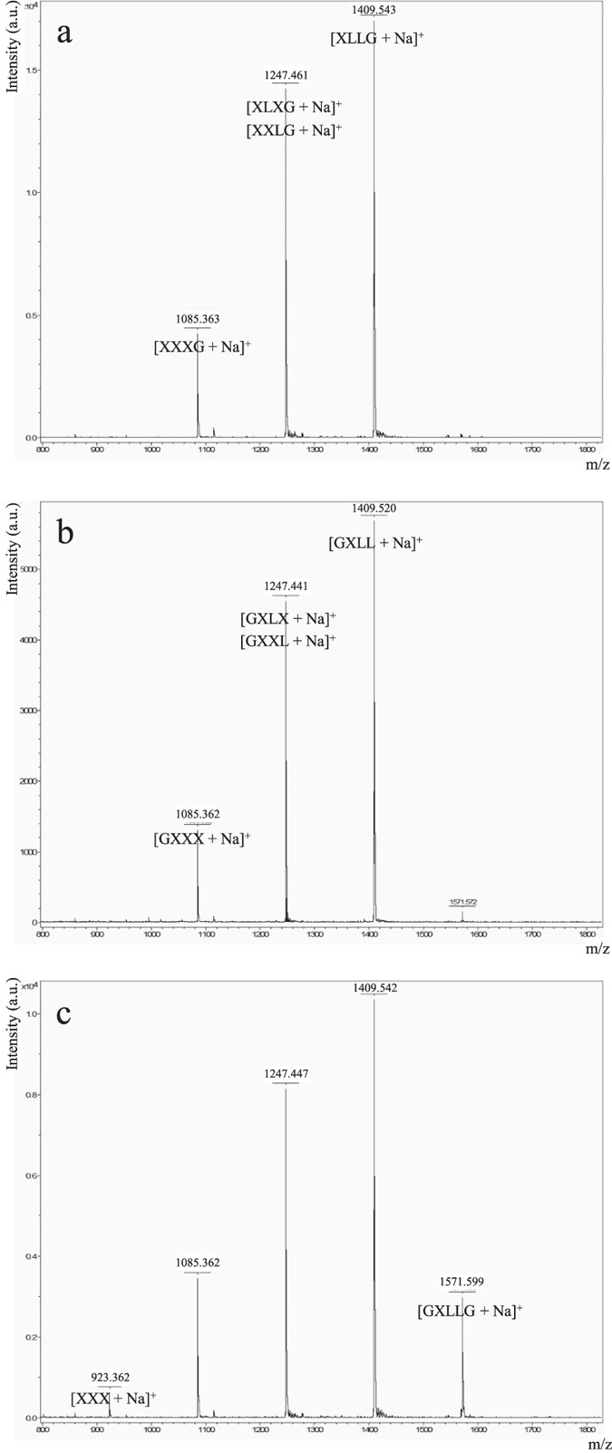 Figure 4: Mass spectrometry analysis of the end products of Cel9X, Cel44O and 9X-44O on xyloglucan.