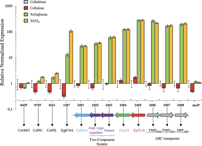 Figure 7: Relative expression of the genes putatively involved in xyloglucan utilization in R. cellulolyticum grown on different substrates.