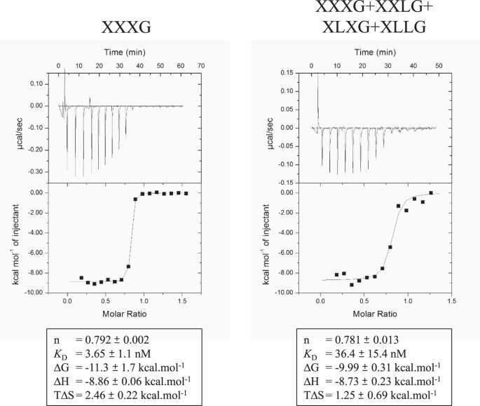 Figure 8: Representative ITC data of the Solute Binding Protein (SBP2458) interaction with pure XXXG or with a mixture of XXXG + XLXG + XXLG + XLLG, and affinity.