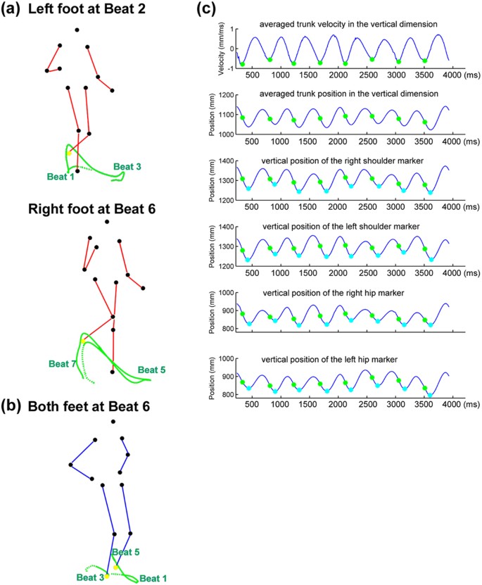 Visual tuning and metrical perception of realistic point-light dance  movements | Scientific Reports