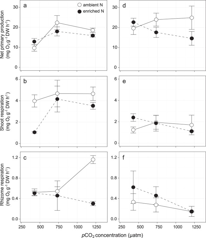 Figure 1: Net primary production and respiratory responses of (a–c) H. uninervis and (d–f) T. hemprichii measured after 22 days exposure to treatment.