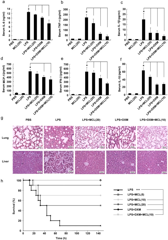 Micheliolide inhibits LPS-induced inflammatory response and protects mice  from LPS challenge | Scientific Reports