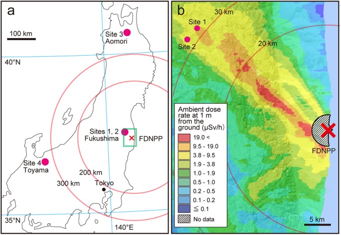 Figure 1: Capture sites for large Japanese field mice used for this study (a) and ambient dose rate 30 months after the Fukushima Daiichi Nuclear Power Plant (FDNPP) accident (b).