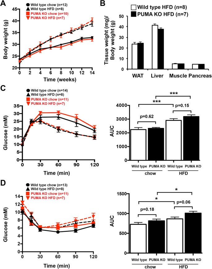 p53-upregulated-modulator-of-apoptosis (PUMA) deficiency affects food  intake but does not impact on body weight or glucose homeostasis in  diet-induced obesity. | Scientific Reports