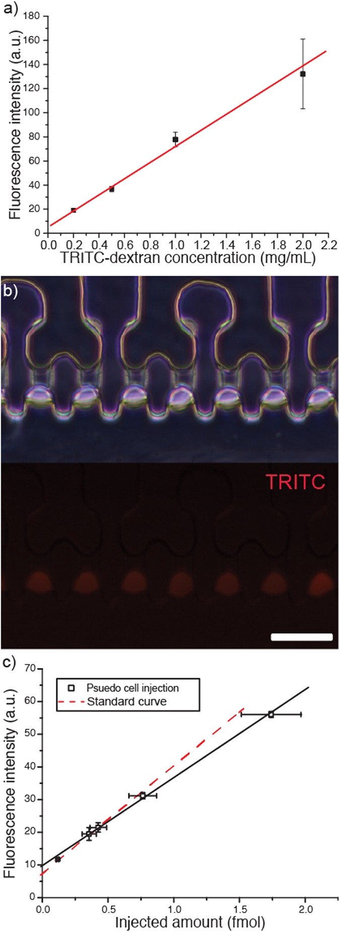 Single Cell Transfection Through Precise Microinjection With Quantitatively Controlled Injection Volumes Scientific Reports Single Cell Transfection Through Precise Microinjection With Quantitatively Controlled Injection Volumes Scientific Reports
