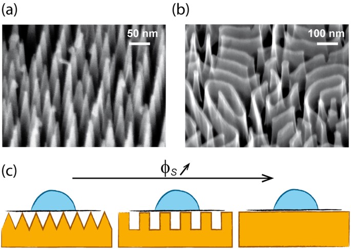 Wettability Of Partially Suspended Graphene Scientific Reports