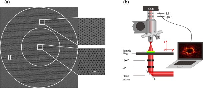 Figure 3: Schematic of nanohole arrays and the experimental setup.
