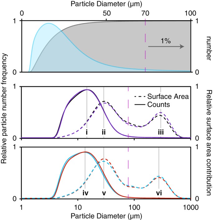 Exploring The Connection Between Canephora & Robusta - Perfect Daily Grind