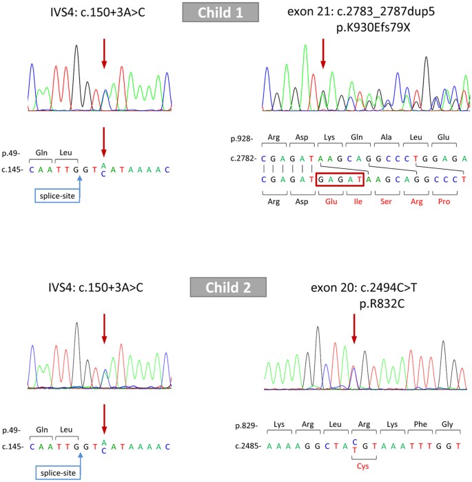 Figure 1: BSEP (ABCB11) mutations of two children with PFIC-2.