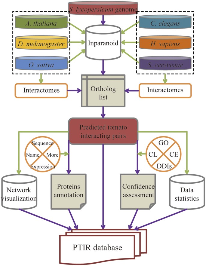 figure 14