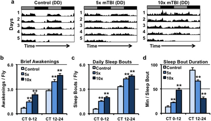 Figure 7: Long-term impact of mild TBI on Drosophila circadian and sleep behaviors.