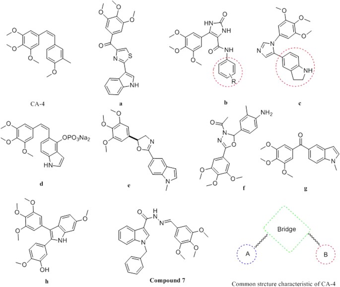 Design Synthesis And Antitumor Activity Of Novel Link Bridge And B Ring Modified Combretastatin A 4 Ca 4 Analogues As Potent Antitubulin Agents Scientific Reports Design Synthesis And Antitumor Activity Of Novel Link Bridge And B Ring Modified Combretastatin A 4 Ca 4 Analogues As Potent Antitubulin Agents Scientific Reports