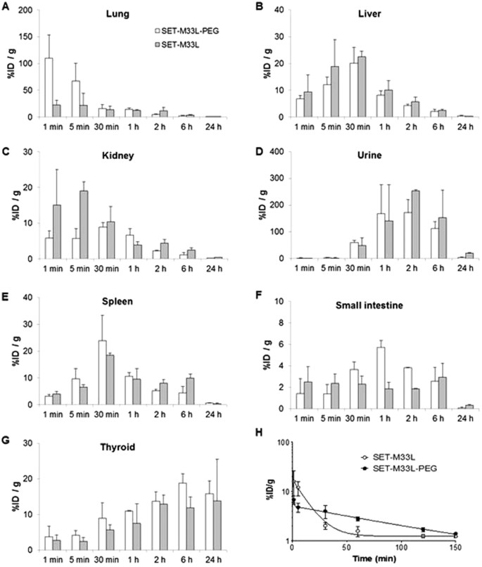 Figure 5: Accumulation of [125I]SET-M33L and [125I]SET-M33L-PEG, expressed as % of injected dose per gram of tissue (%ID/g) into the different organs and plasma after intravenous administration and organ dissection or plasma collection.