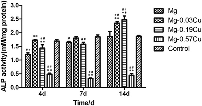 Figure 8: ALP activity of MC3T3-E1 cells after incubation for 4, 7, and 14 days in different extracts.
